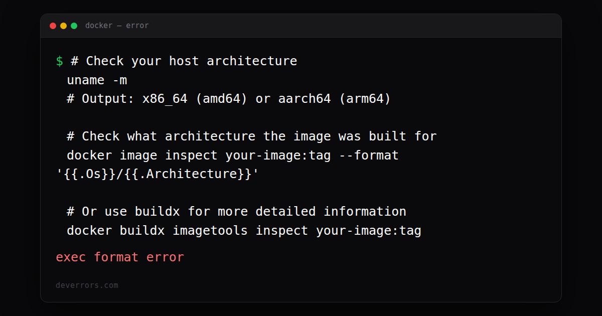How to fix exec format error in Docker | DevErrors